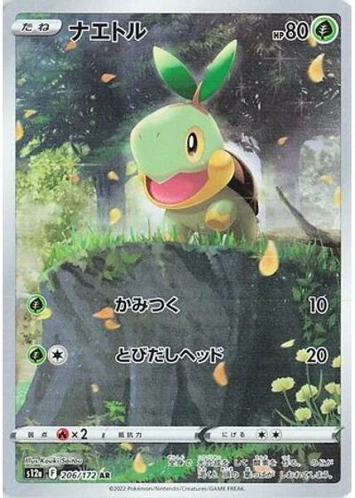 Turtwig