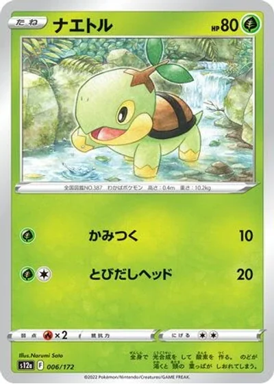 Turtwig