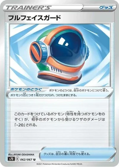 Full Face Guard