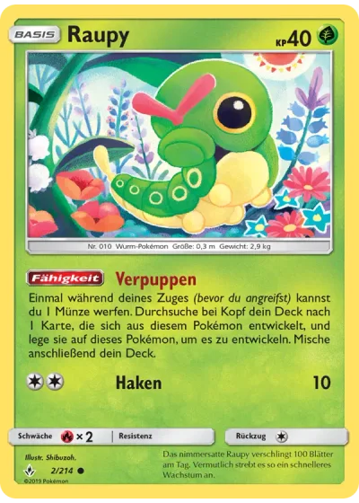 Raupy