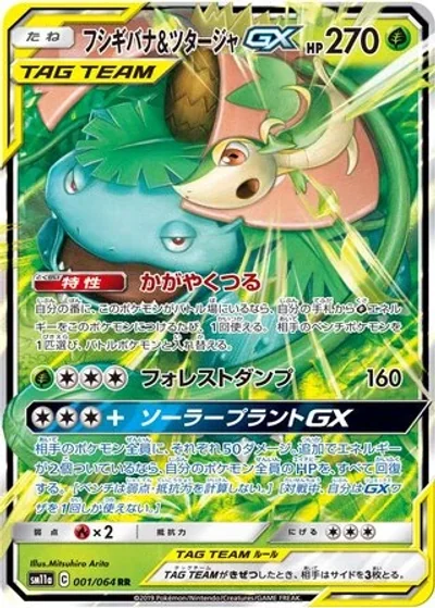 Venusaur & Snivy-GX