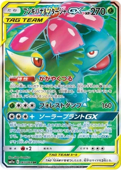 Venusaur & Snivy-GX