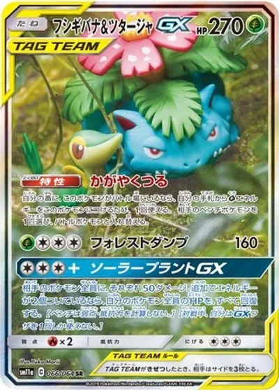 Venusaur & Snivy-GX