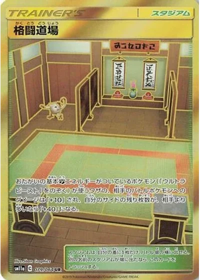 Martial Arts Dojo