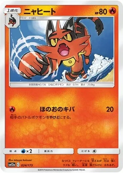 Torracat