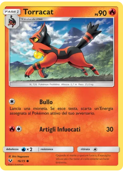 Torracat