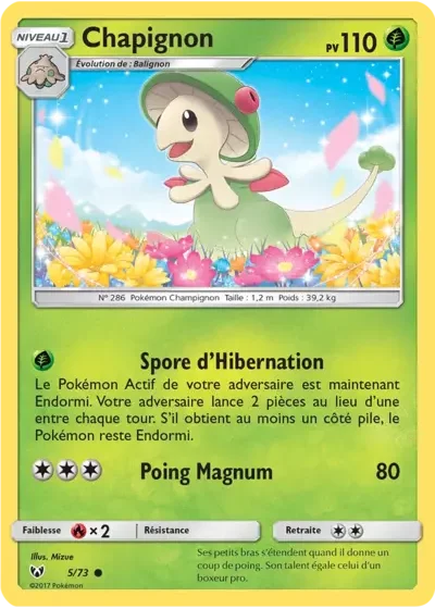 Chapignon