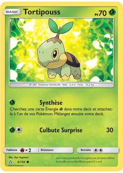 Tortipouss