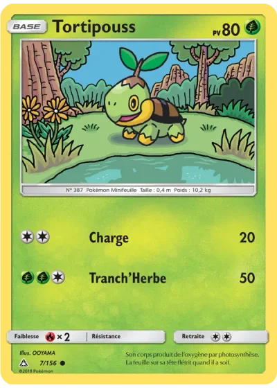 Tortipouss