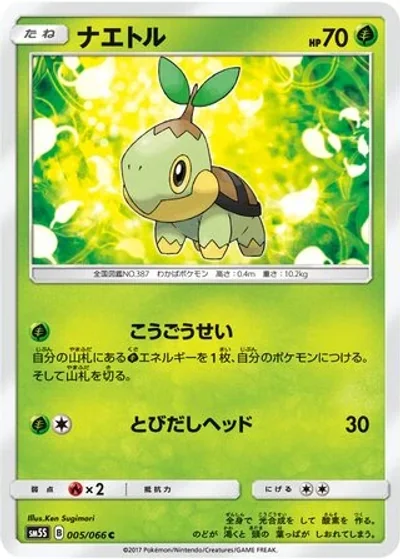 Turtwig