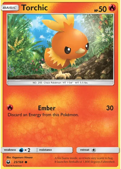 Torchic