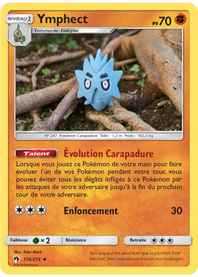 Ymphect