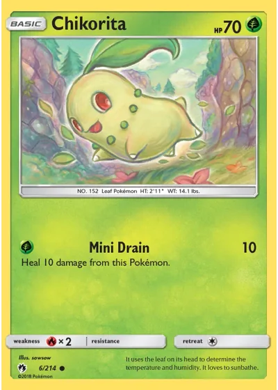 Chikorita