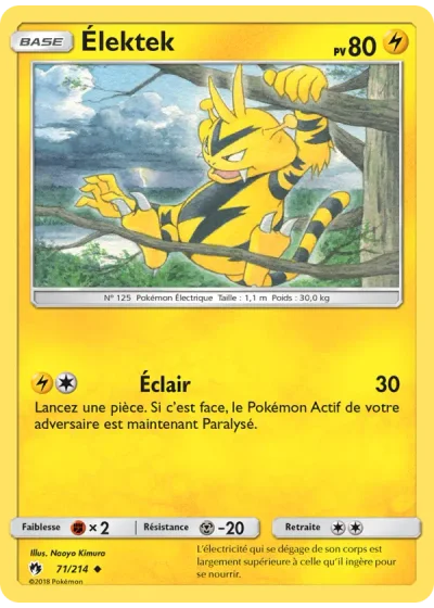 Élektek