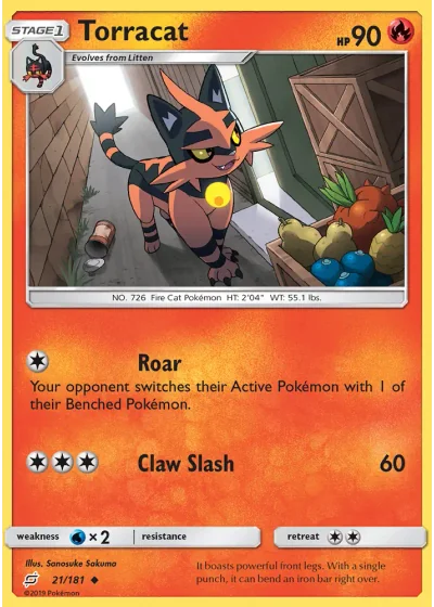 Torracat