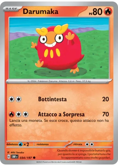 Darumaka