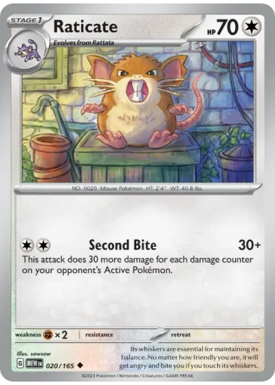 Raticate