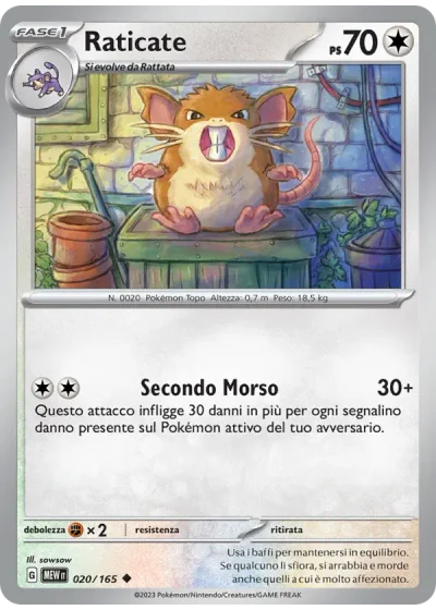 Raticate