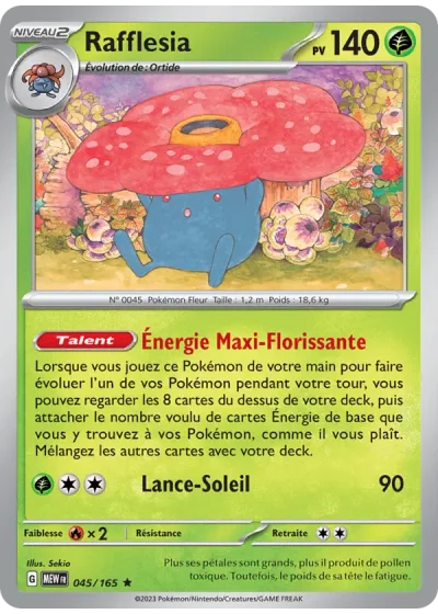 Rafflesia