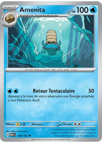 Amonita