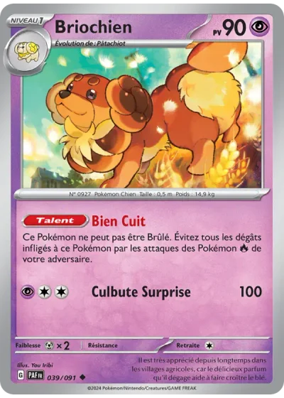 Briochien