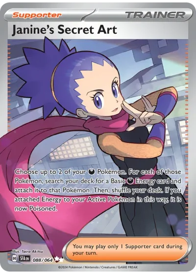 Janine's Secret Art