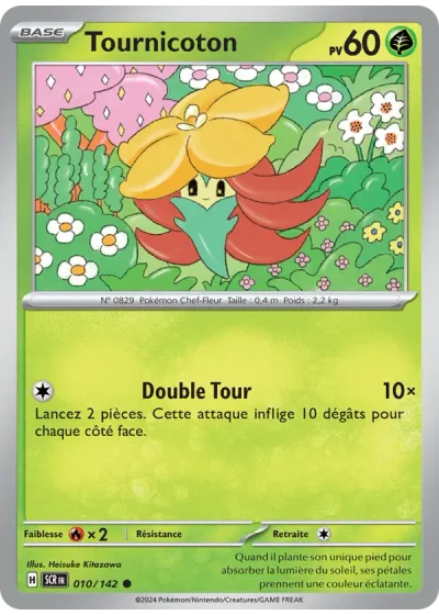 Tournicoton