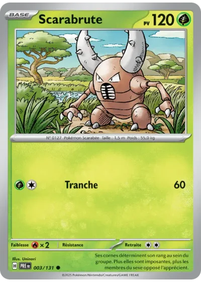 Scarabrute