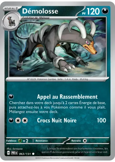 Démolosse