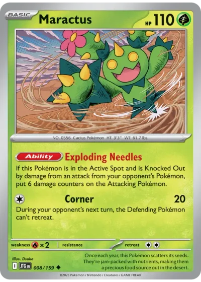 Maractus