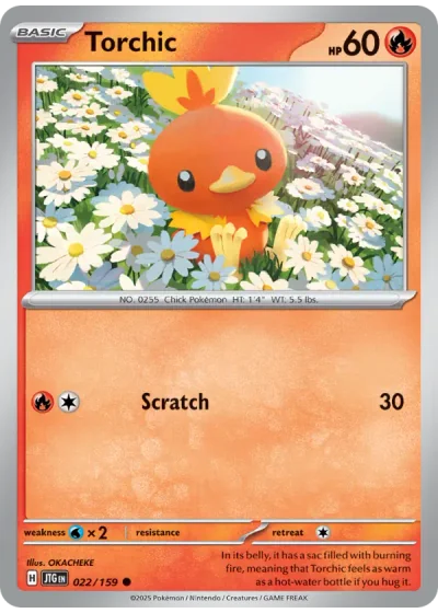 Torchic