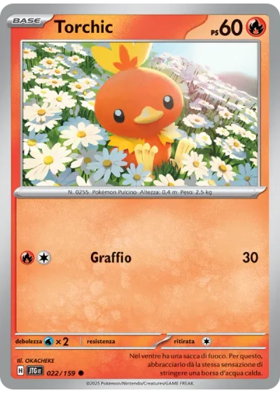 Torchic