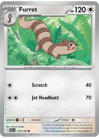Furret