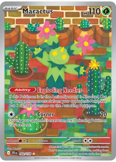 Maractus