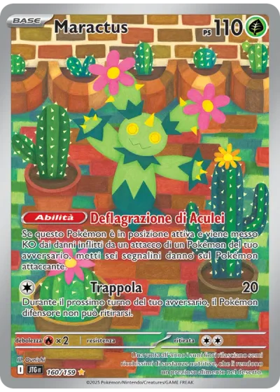 Maractus
