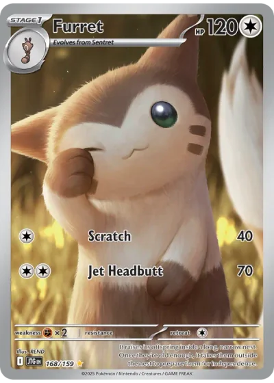 Furret