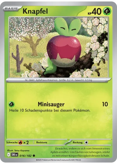 Knapfel