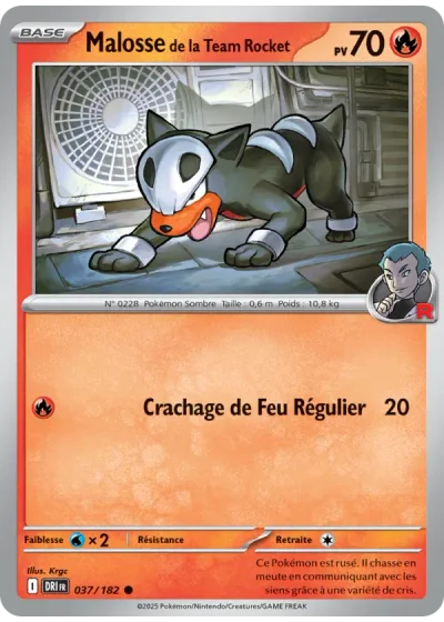 Malosse de la Team Rocket