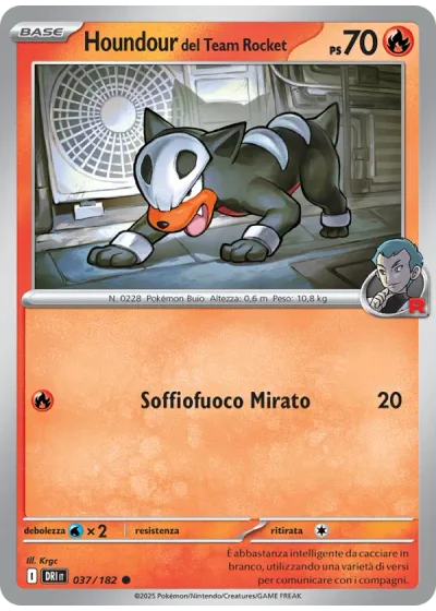 Houndour del Team Rocket
