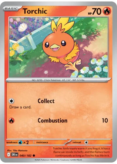 Torchic
