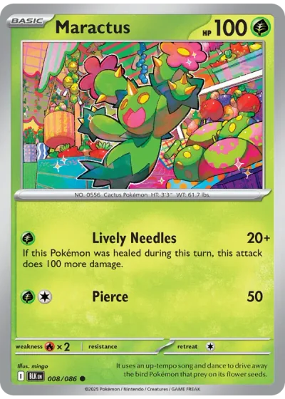 Maractus