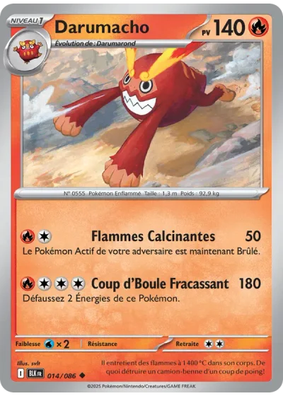 Darumacho