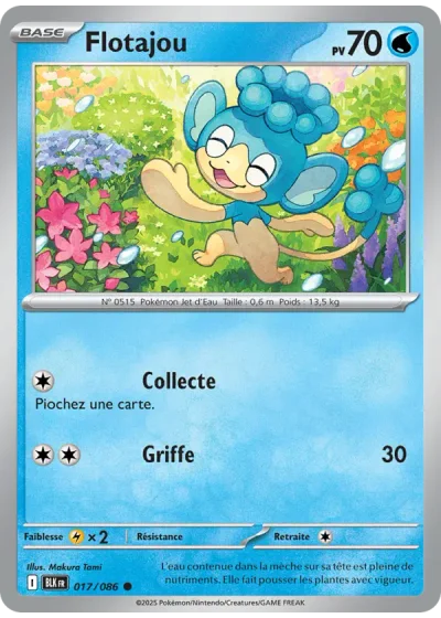 Flotajou