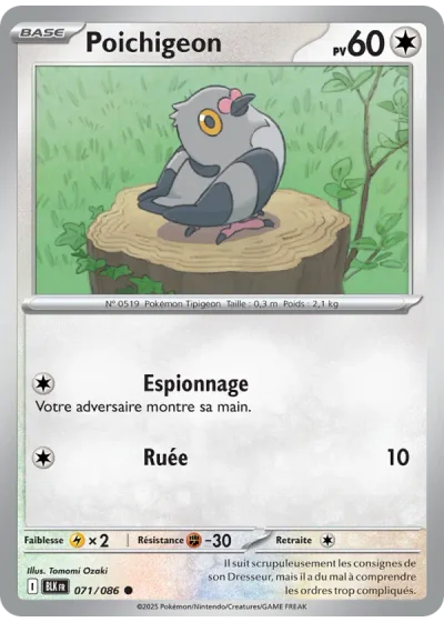 Poichigeon