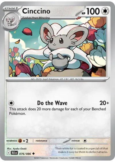 Cinccino