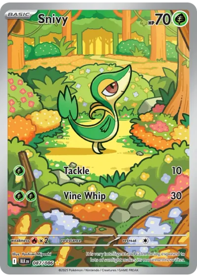 Snivy