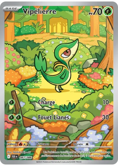 Vipélierre