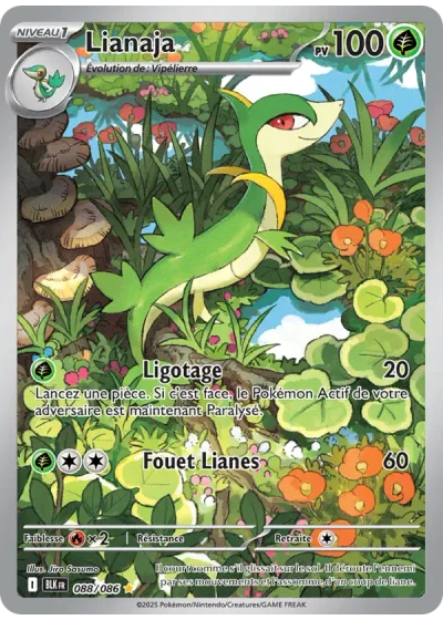 Lianaja