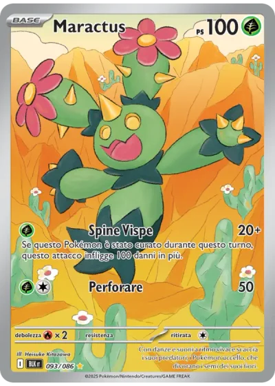 Maractus