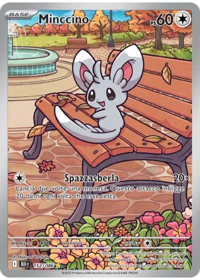 Minccino